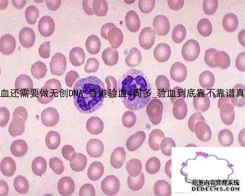 8周香港验血还需要做无创DNA_香港验血
