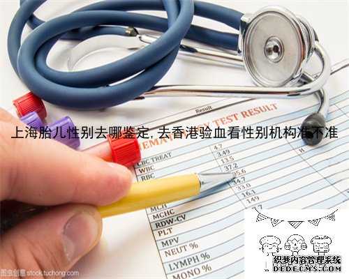 上海胎儿性别去哪鉴定,去香港验血看性别机构准不准
