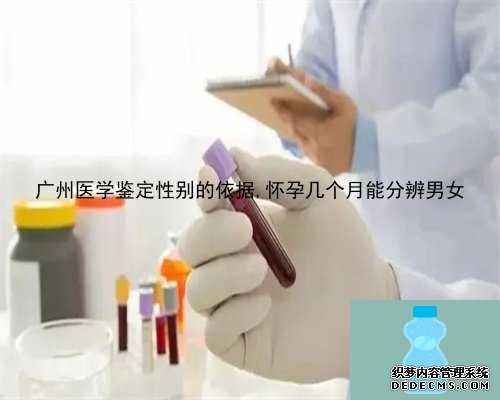 广州医学鉴定性别的依据,怀孕几个月能分辨男女