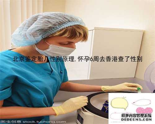 北京鉴定胎儿性别原理,怀孕6周去香港查了性别