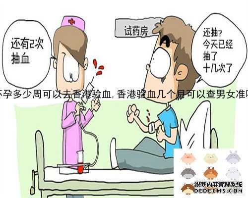 怀孕多少周可以去香港验血,香港验血几个月可以查男女准吗